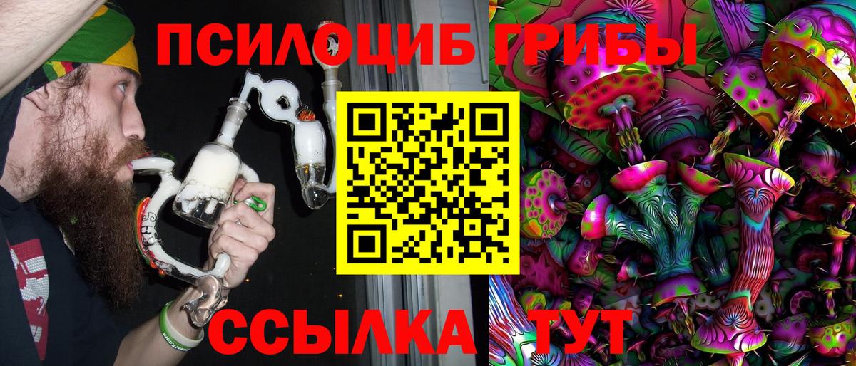 Дивногорск  Псилоцибиновые грибы Magic Shrooms  дарнет шоп  Вход с VPN 